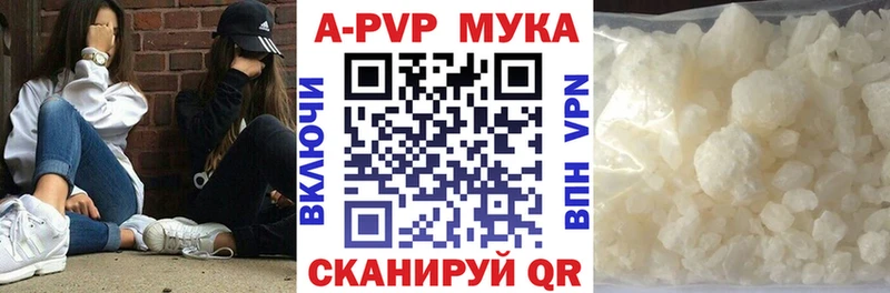 где купить наркоту  Майкоп  KRAKEN маркетплейс  A-PVP СК 
