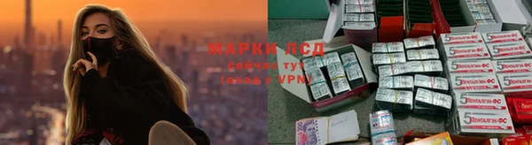 ГАЛЛЮЦИНОГЕННЫЕ ГРИБЫ Заволжье