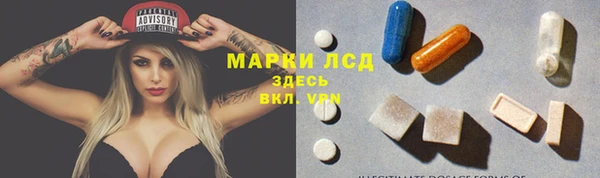 ГАЛЛЮЦИНОГЕННЫЕ ГРИБЫ Заволжье