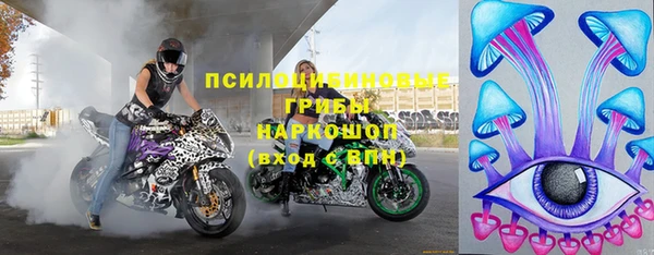 ГАЛЛЮЦИНОГЕННЫЕ ГРИБЫ Заволжье