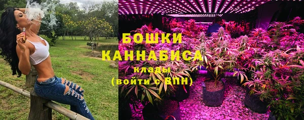 ALPHA PVP Елизово