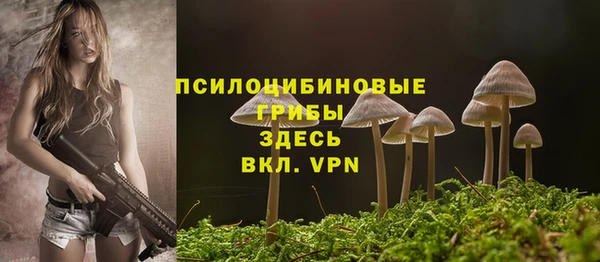 ГАЛЛЮЦИНОГЕННЫЕ ГРИБЫ Заволжье