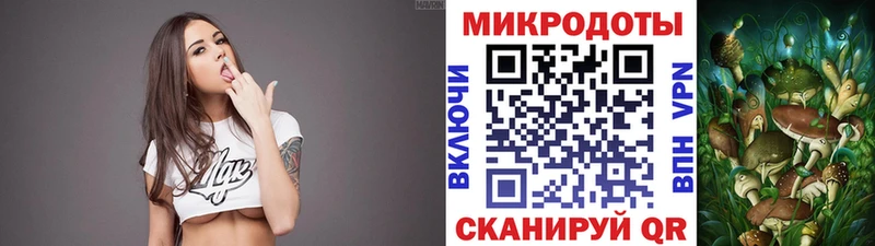 Галлюциногенные грибы Psilocybe  кракен сайт  Майкоп  купить наркоту 
