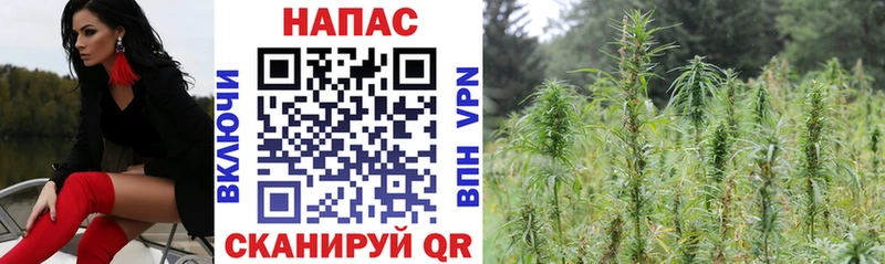 Каннабис индика  гидра ссылки  Майкоп 
